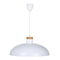 Pendant Lamp CS-PD058L